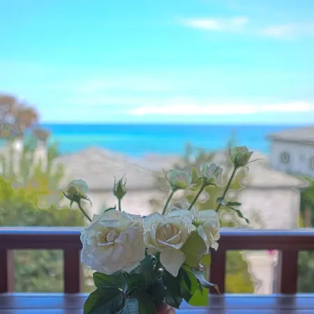 Daire Eleni's Seaside